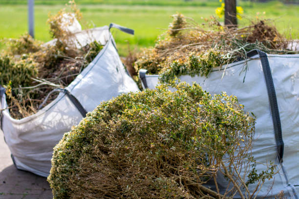 Best Dumpster Rental Services  in Brownsville, TN