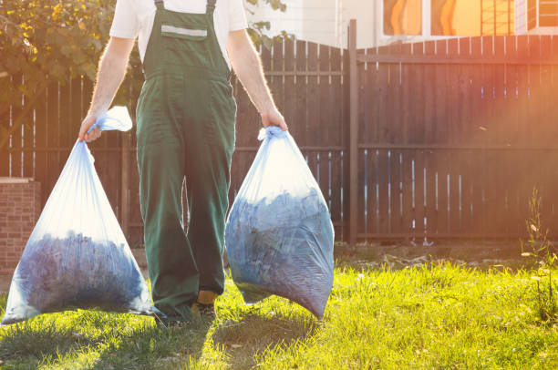 Yard Cleanup Services in Brownsville, TN